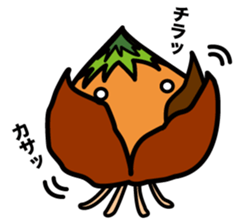 Tulip bulbs sticker #387346