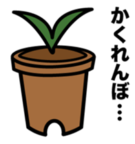 Tulip bulbs sticker #387351