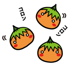 Tulip bulbs sticker #387368