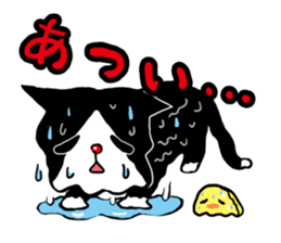 Cat rice ball sticker #389699