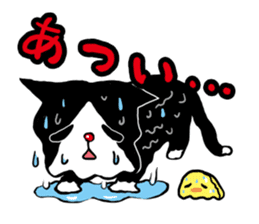 Cat rice ball sticker #389699