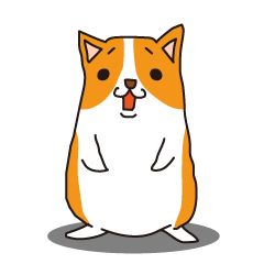 Cutie Corgi