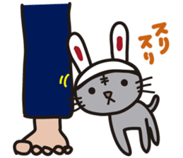 Pretty cat sticker #390812