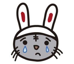 Pretty cat sticker #390822