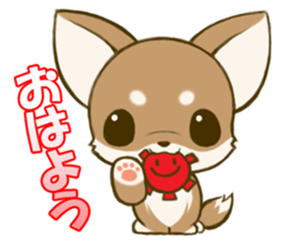 Chihuahuatan sticker #391185