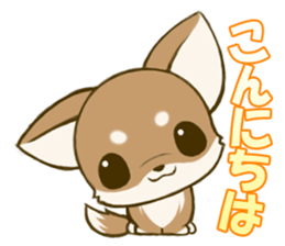 Chihuahuatan sticker #391186