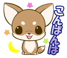 Chihuahuatan sticker #391187