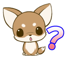 Chihuahuatan sticker #391188