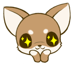 Chihuahuatan sticker #391192
