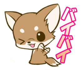 Chihuahuatan sticker #391193