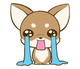 Chihuahuatan sticker #391201
