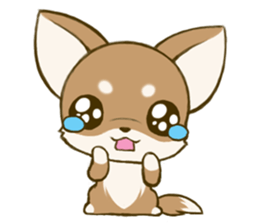 Chihuahuatan sticker #391202