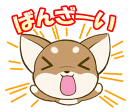 Chihuahuatan sticker #391208