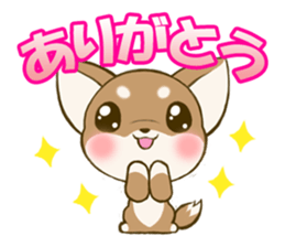 Chihuahuatan sticker #391213