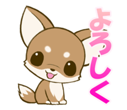 Chihuahuatan sticker #391215