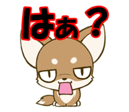 Chihuahuatan sticker #391218