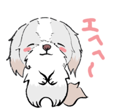 by name Cavalier (cavaken) sticker #391670