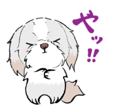 by name Cavalier (cavaken) sticker #391684