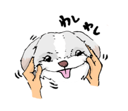 by name Cavalier (cavaken) sticker #391692