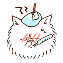 Grumpy cat sticker #391934