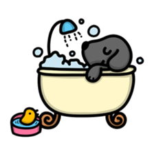 Black Labrador retriever Max sticker #392817