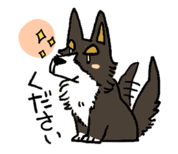 3 Corgi sticker #396439