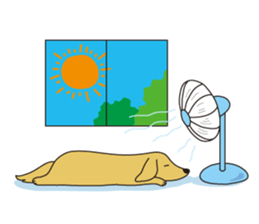 All Dachshund ! sticker #397127