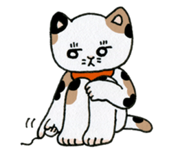 awai cat's sticker #398144
