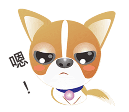 Dog-Chihuahua sticker #407188