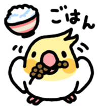Cockatiel "Okameinko-kko" sticker #407655