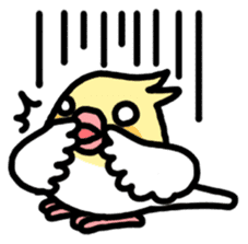 Cockatiel "Okameinko-kko" sticker #407662