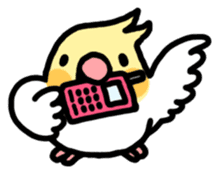 Cockatiel "Okameinko-kko" sticker #407680