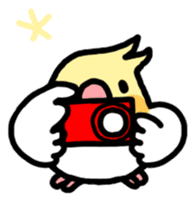 Cockatiel "Okameinko-kko" sticker #407682