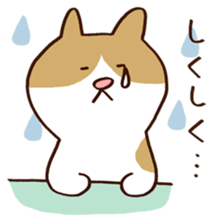 Murmur cat sticker #409894