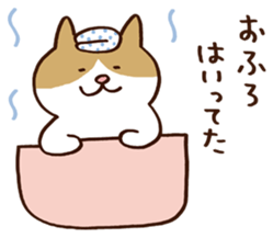 Murmur cat sticker #409909