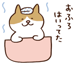 Murmur cat sticker #409909