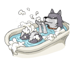 Husky&Wolf sticker #410047