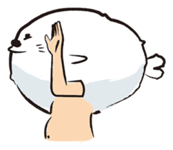 Human seal pup sticker #410825