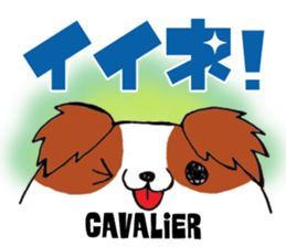 DOGS sticker #412046