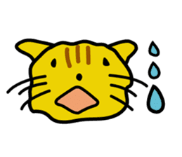 My pace sticker #412415