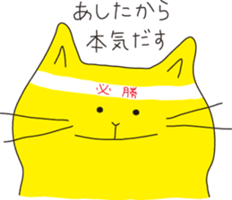 Cat Cat Cat ! sticker #412860