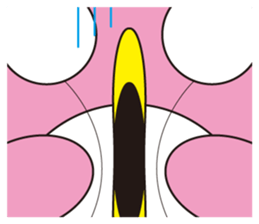 A penguin family's expression sticker #414174