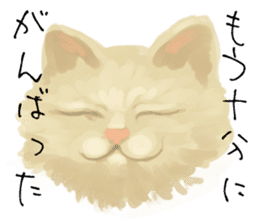 All right Cat stamp sticker #414365