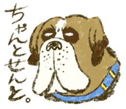 Expressions of 40 various dogs sticker #420819