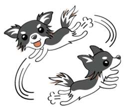 Long coat Chihuahua sticker #421620