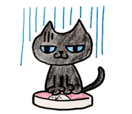 Chocolee of the kitten sticker #424705