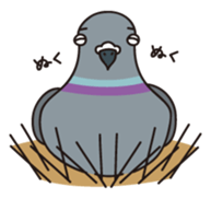 Pigeon and Sparrow Sticker(Japanese) sticker #426214