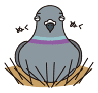 Pigeon and Sparrow Sticker(Japanese) sticker #426214