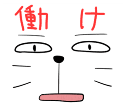 Reactions of a funny cat sticker #427428