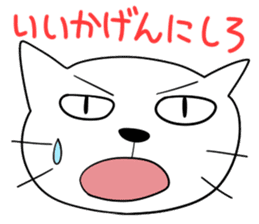 Reactions of a funny cat sticker #427446